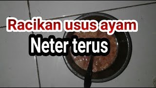 RACIKAN USUS AYAM UMPAN LELE JITU GALATAMA HARIAN [upl. by Goss]