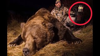 Lee Lakosky Takes The Number 9 Alaskan Brown Bear with Dr Ed Ashby Big Game Arrow amp Broadhead System [upl. by Frederique]