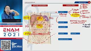 Examen físico del abdomen Semiología en gastroenterología [upl. by Eneg319]