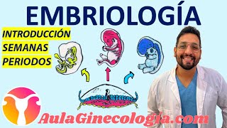 EMBRIOLOGÍA DE LA CONCEPCIÓN AL🤰🏻 NACIMIENTO🚼 Con FRANCO KELLY  Ginecología y Obstetricia [upl. by Jarlathus]