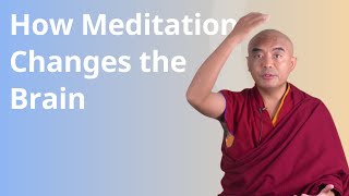 How Meditation Changes the Brain with Yongey Mingyur Rinpoche [upl. by Romeyn]