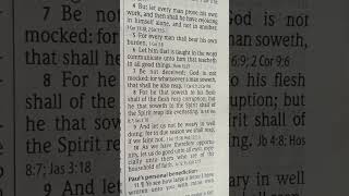 Galatians 679 KJV ❤️🙏🕊️ [upl. by Sokram]