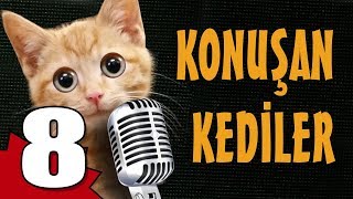 Konuşan Kediler 8  En Komik Kedi Videoları [upl. by Hocker]