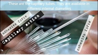 Experiment on Capillary Action or Capillarity using Capillary Tube [upl. by Landan]