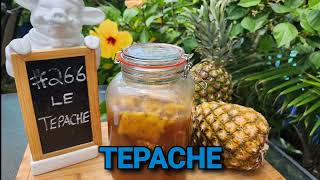 TEPACHE [upl. by Mayfield]