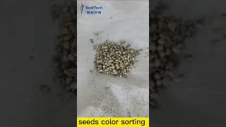 seeds color sorter machine optical grain selector [upl. by Hertz76]