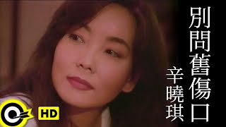 辛曉琪 Winnie Hsin【別問舊傷口 Dont touch the scar】Official Music Video [upl. by Lakym]