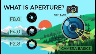 Camera Basics  Aperture [upl. by Naitsirt]