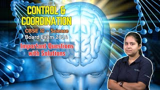 Most Important Questions for Control amp Coordination class 10  NCERT Class 10 Science 2024 [upl. by Inasah]