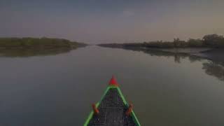 The Sundarbans mangrove forest one of the largest such forests in the world 140000 ha [upl. by Eissehc]