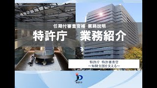 任期付審査官補 業務説明 [upl. by Laenej]