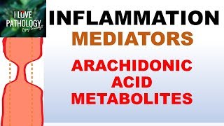 INFLAMMATION Part 5 Chemical Mediators ARACHIDONIC ACID METABOLITES [upl. by Fernald]