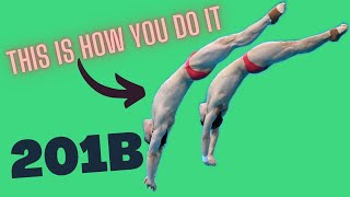 How To Do A Back Dive Pike  201B [upl. by Benetta]