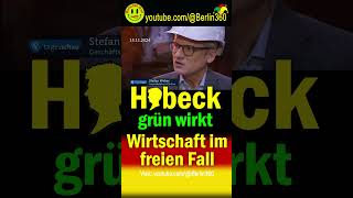 🤡Habeck Grüne baerbock Hofreiter Brantner Banaszak Audretsch Stromkosten Wirtschaft ARD [upl. by Vadim]