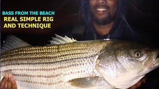 HOW TO CATCH STRIPED BASS OFF THE BEACH FOR DUMMIES NO OFFENSE 2X [upl. by Eiclek463]