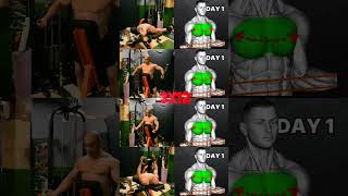 quotBest Chest Exercises for a Bigger Stronger Chestquot [upl. by Leisha]