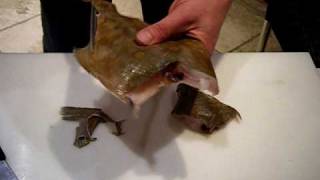 Passionate About Fish  How to Pocket a plaice [upl. by Cirtap]