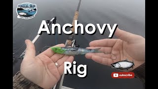 How to build an anchovy rig  Rhys Davis [upl. by Ghassan]