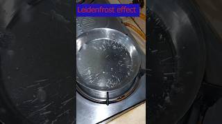 The Leidenfrost Effectshorts waterdiyprojectsscience Tribune [upl. by Aronal]