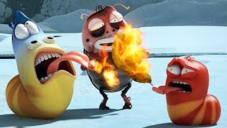 LARVA  DANGER  Cartoon Movie  Cartoons  Comics  Larva Cartoon  LARVA Official [upl. by Collier846]