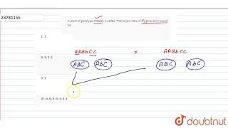 A plant of genotype AABbCC is selfed Phenotypic ratio of F2 generation would be [upl. by Adnuhsar]