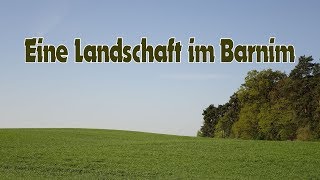 Eine Landschaft im Barnim [upl. by Lashoh]