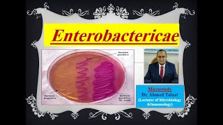 Enterobacteriaceae quotMedical Microbiologyquot [upl. by Otreblig]