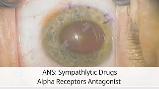 4 ANS Sympatholytic Drugs Alpha Adrenergic Antagonist غالقات مستقبلات ألفا [upl. by Adnovahs]