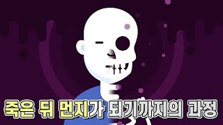 사람이 죽은 뒤 남겨진 시체는 어떻게 될까 [upl. by Glory]