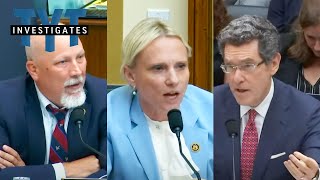 WATCH Dem Witness Has The PERFECT Response To MAGAs Lunacy [upl. by Tallbott]