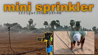 mini sprinkler irrigation system [upl. by Nilhtac]