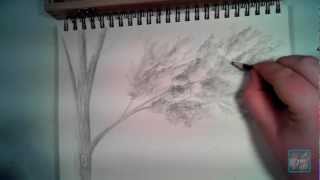 How to Draw Realistic Looking Leaves [upl. by Latrena]