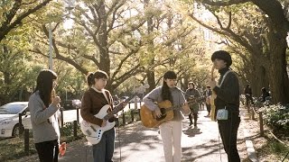 SaToA  Sprout  TOKYO ACOUSTIC SESSION [upl. by Nayd]