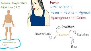 Fever Causes and Fever Types What does fever say about the disease High temperature [upl. by Ermine]