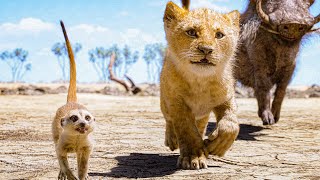 Hakuna Matata Song Scene  THE LION KING 2019 Movie Clip [upl. by Letrice]