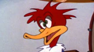 Woody Woodpecker  Smoked Hams  Woody Woodpecker Full Episode  Old CartoonsVideos for Kids [upl. by Strohben188]