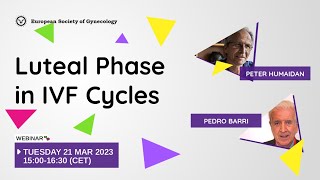 Luteal Phase in IVF Cycles [upl. by Andel]