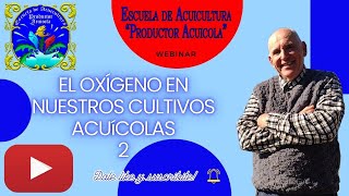 El Oxígeno en nuestros cultivos acuícolas II [upl. by Nocam]