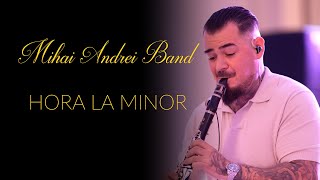 MIHAI ANDREI BAND ✅ HORA LA MNOR ✅ CLARINET [upl. by Popper]