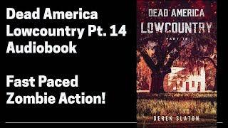 14  Lowcountry Part 14 Complete Audiobook Book 14 of 18 [upl. by Ynottirb983]