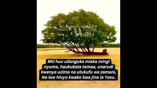 Nakushukuru Mungu Kwa ukuu wako🙏🙏 [upl. by Batory]