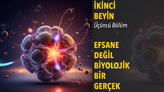 Efsane Değil Biyolojik Bir Gerçek  İkinci Beyin Sesli Kitap  03 [upl. by Nwahsid]