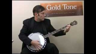 Gold Tone PS250 4string Plectrum Banjo Demo Video [upl. by Dearr]