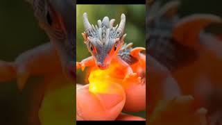 cute little dragon spitting fire 😂 [upl. by Furlong338]