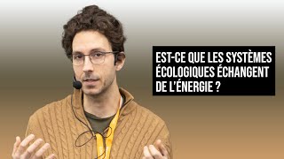 ESTCE QUE LES SYSTÈMES ÉCOLOGIQUES ÉCHANGENT DE LÉNERGIE [upl. by Arand716]