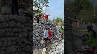 Stone wall constructions shortvideo stonewall stonewalling shorts ytshortsvideo youtubeshort [upl. by Einahpets]