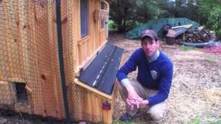 How to stop your chickens from eating their eggs Tips Help ideas [upl. by Petite258]