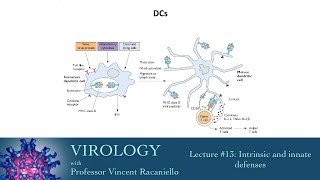 Virology 2014 lecture 13  Intrinsic and innate defenses [upl. by Analihp]