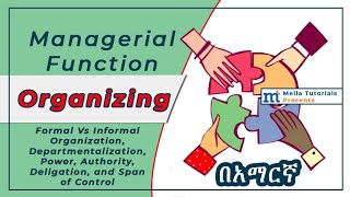 Organizing in Management በአማርኛ [upl. by Irrej]