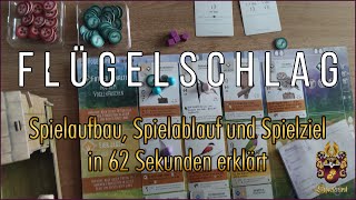 Flügelschlag in 62 Sekunden  Spielaufbau Spielablauf und Spielziel kurz erklärt [upl. by Tehr]